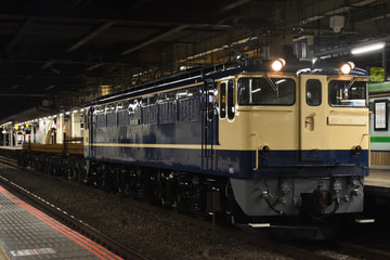JR東日本 田端運転所 EF65 1105