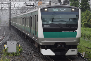 JR東日本 川越車両センター E233系 ハエ110編成