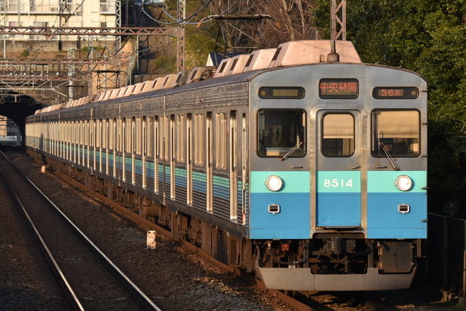 長津田検車区8500系8614Fを田奈駅で撮影した写真
