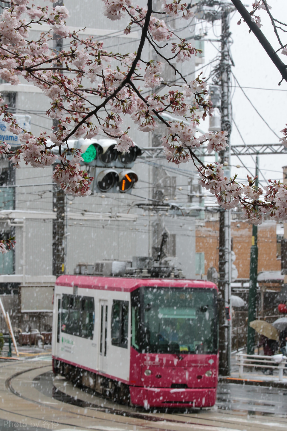 都営8800形8802の写真