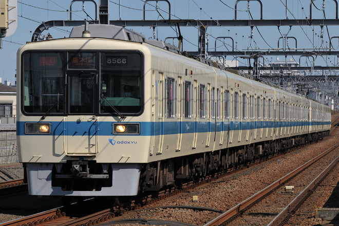 海老名検車区8000形を祖師ヶ谷大蔵駅で撮影した写真