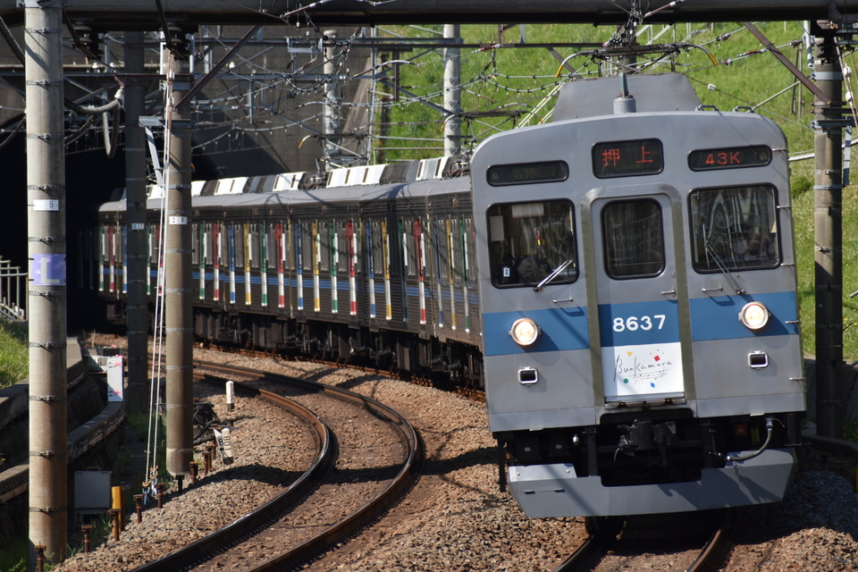 東急8500系8637F(8637編成)の編成データ、編成表、ニュース、写真2ndtrain