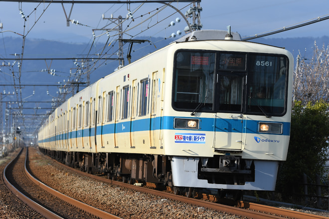 鉄道コレクション 小田急8261F（加工品） 鉄道コレクション 小田急