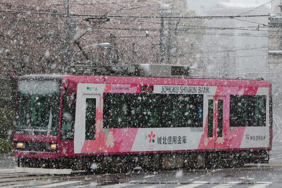 都営8900形8906の写真