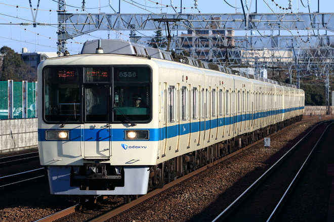 8000系8256×6を和泉多摩川駅で撮影した写真