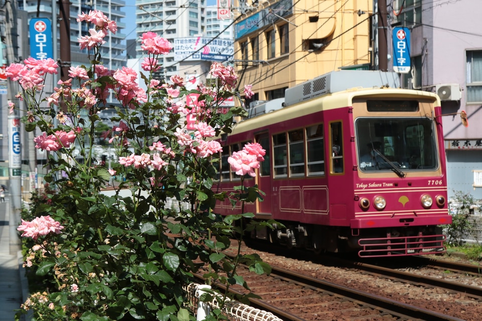 都営7700形7706の写真