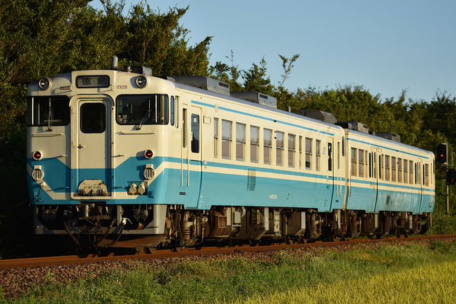 715a5a3c13a6b20681cc4aef95534b