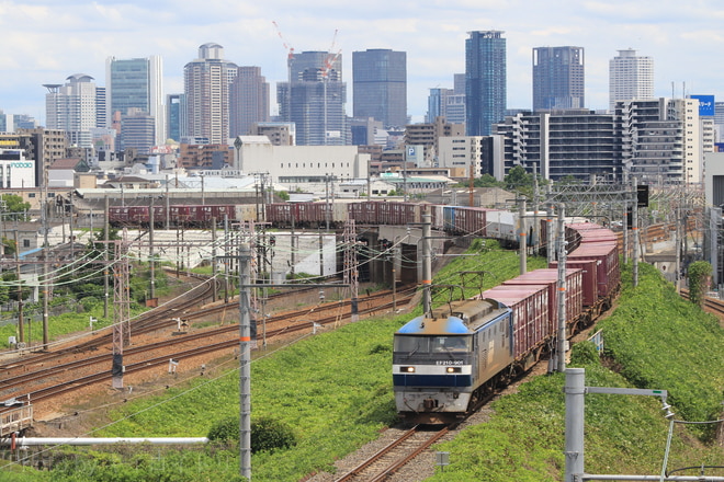 岡山機関区 EF210 901 の写真 |鉄道写真投稿サイトTrain-Directory