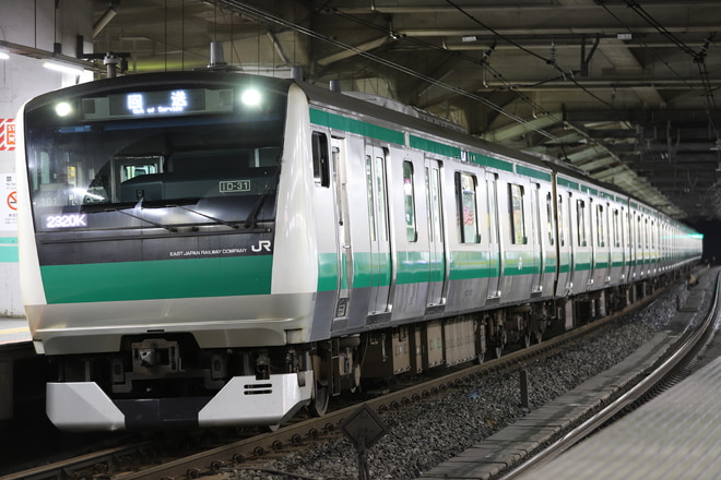 川越車両センターE233系ハエ101編成を赤羽駅で撮影した写真