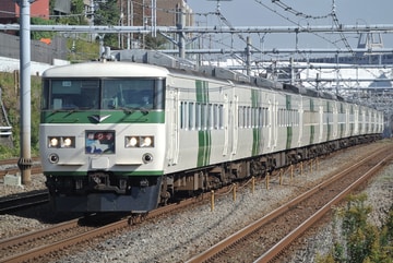 JR東日本  185系 OM08