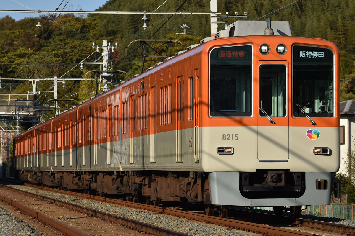 阪神電気鉄道 尼崎車庫 8000系 8215F