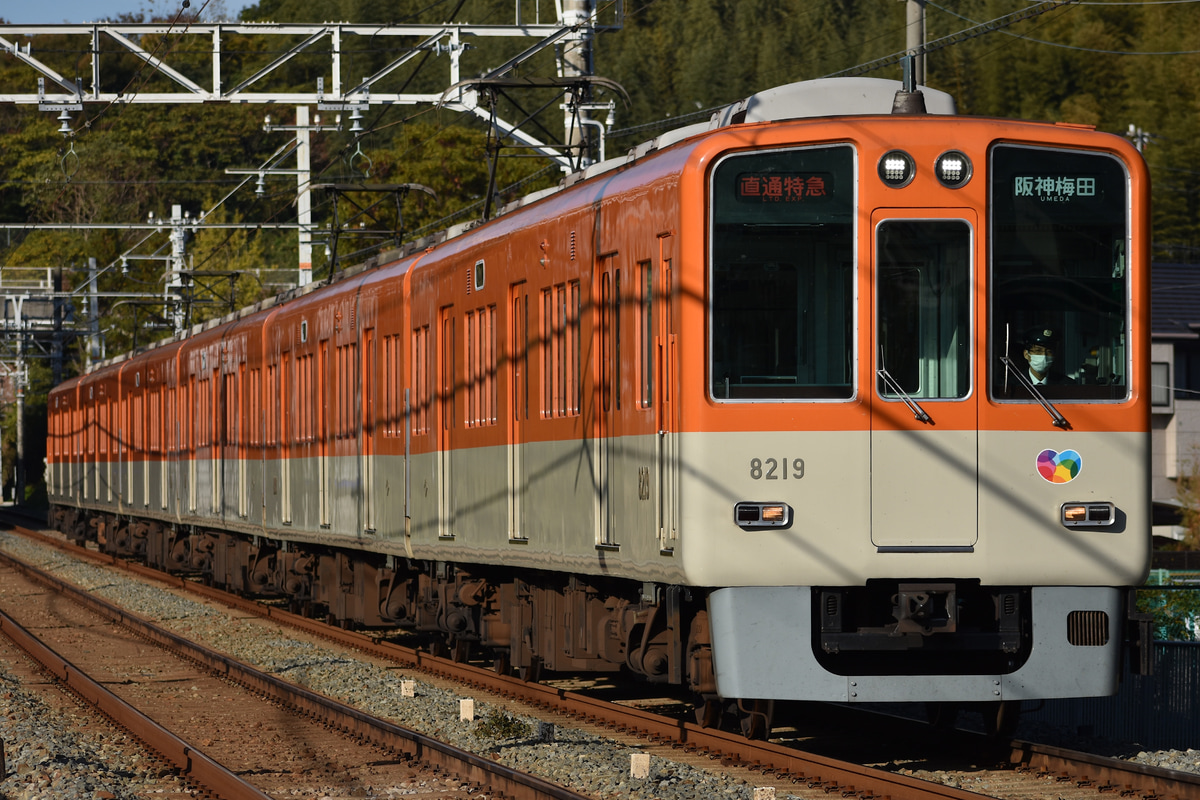 阪神電気鉄道 尼崎車庫 8000系 8219F