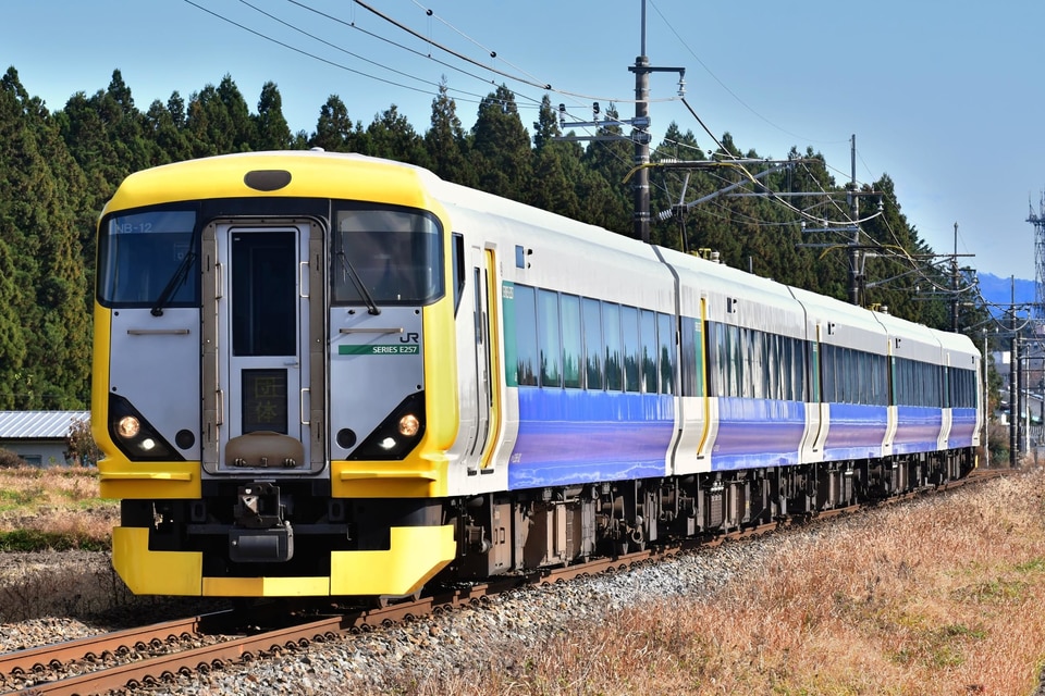JR東E257系マリNB-12編成<br class="br-sp" />(NB-12編成)(マリNB-12)の写真