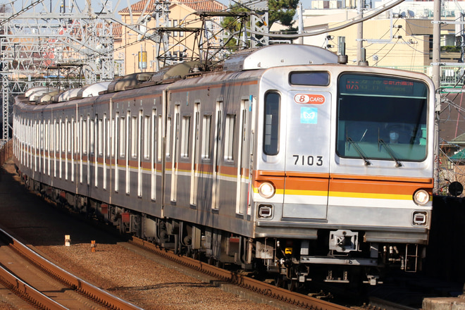 7000系7103Fを多摩川駅で撮影した写真