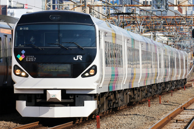 E257系M-115編成を阿佐ケ谷駅で撮影した写真