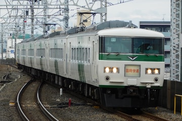 JR東日本  185系 