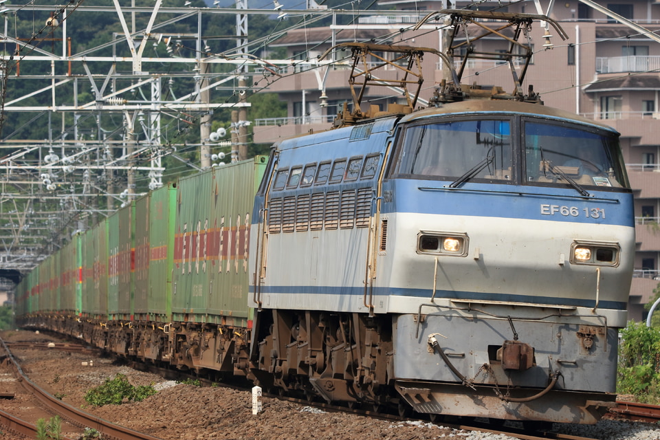 じゅん　EF66 2両 限定品】 JR EF66・ワム380000形 (専用貨物列車) (35両セット