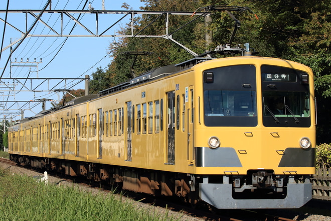 新宿線車両所玉川上水車両基地101系263Fを青梅街道～一橋学園間で撮影した写真