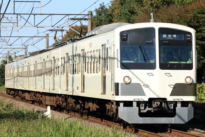 新宿線車両所玉川上水車両基地101系1257Fを青梅街道～一橋学園間で撮影した写真