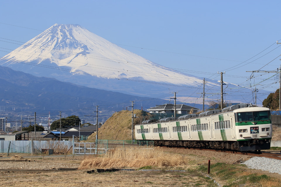 JR東185系オオC5編成<br class="br-sp" />(オオC5)(C5編成)の写真