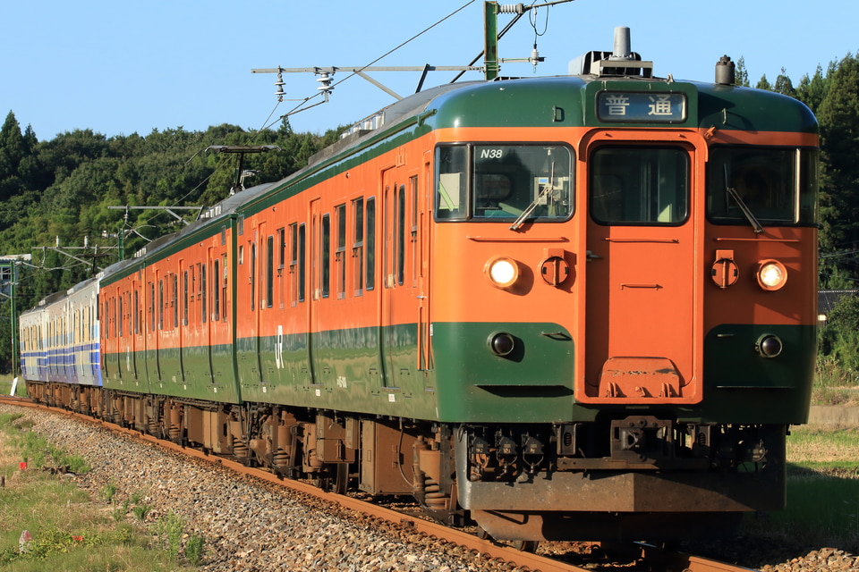 JR東115系ニイN38編成<br class="br-sp" />(ニイN38)の写真
