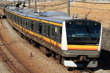 JR東日本 鎌倉車両センター中原支所 E233系 ナハN14編成