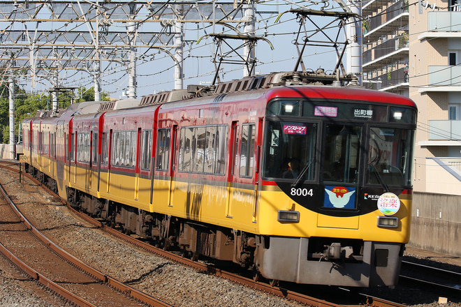 8000系8004Fを大和田駅で撮影した写真