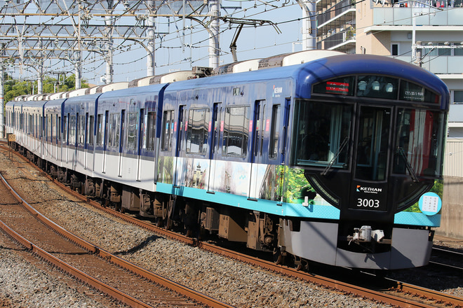 3000系3003Fを大和田駅で撮影した写真