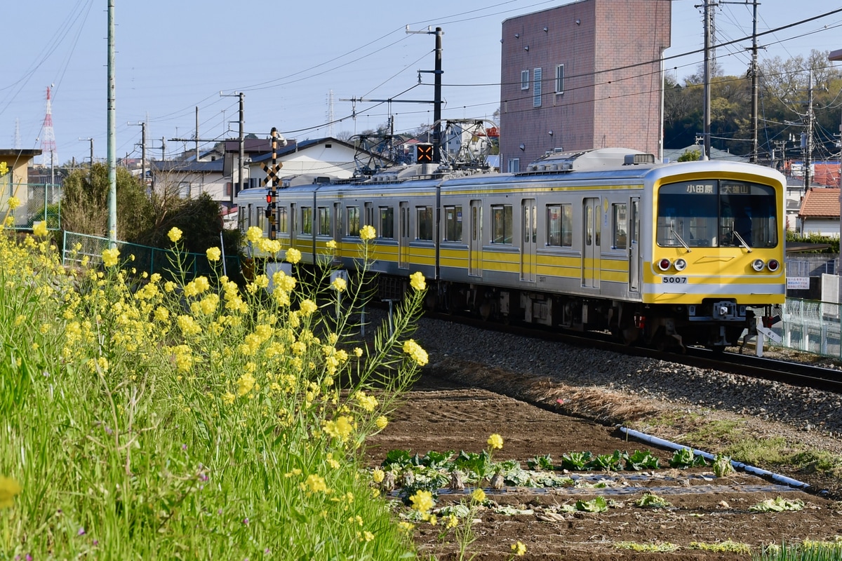 伊豆箱根鉄道  5000系 5504F
