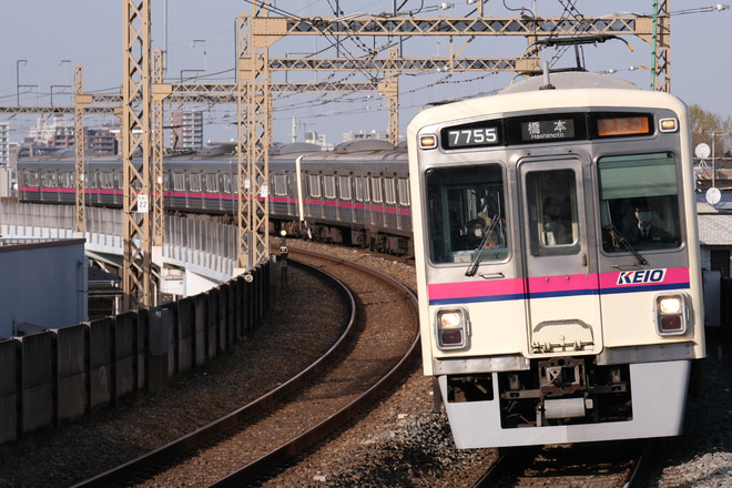 7000系7705Fを京王稲田堤駅で撮影した写真