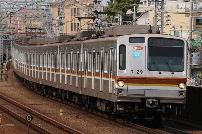 和光市検車区7000系7129Fを多摩川駅で撮影した写真