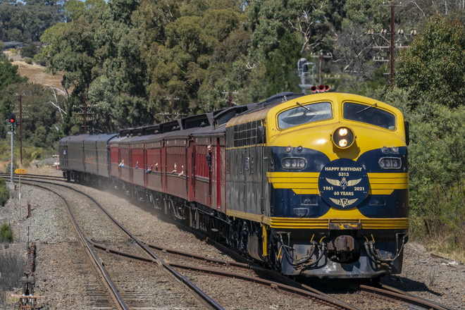 Steamrail VictoriaVictorian Railways S classS313をKilmore EastStationで撮影した写真