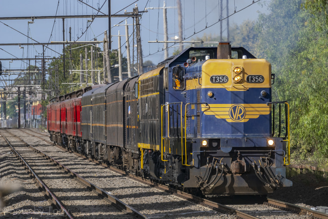 Steamrail VictoriaVictorian Railways T classT356をSpotswoodStationで撮影した写真