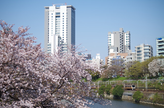 豊田車両センター本区E233系を飯田橋～市ケ谷間で撮影した写真