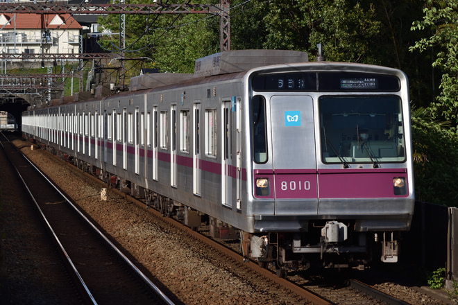 鷺沼検車区8000系8110Fを田奈駅で撮影した写真