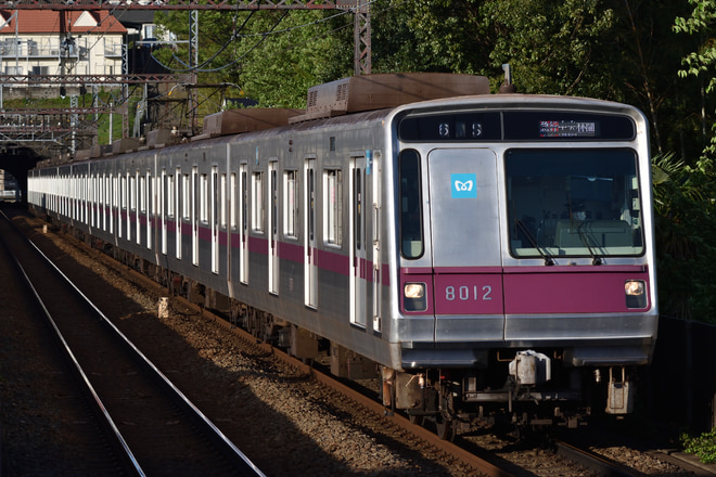 鷺沼検車区8000系8112Fを田奈駅で撮影した写真