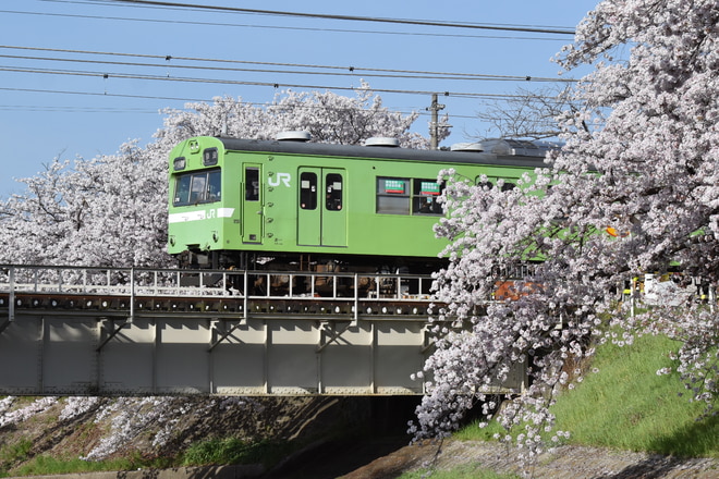 吹田総合車両所奈良支所103系NS407編成を平城山～奈良間で撮影した写真