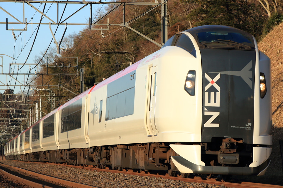 JR東E259系クラNe006編成<br class="br-sp" />(Ne006編成)(Ne006編成)の写真