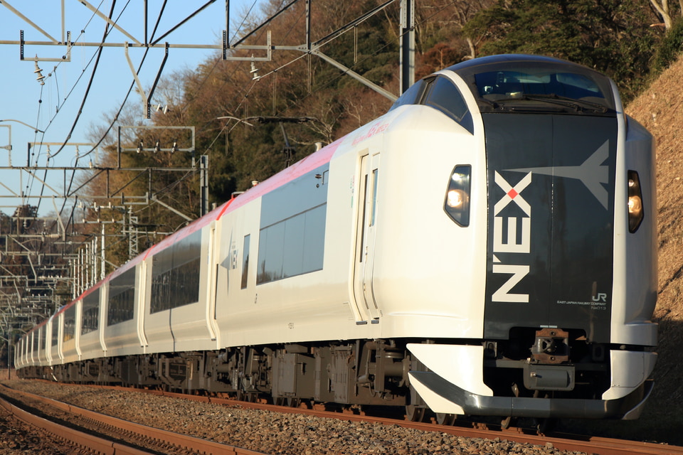 JR東E259系クラNe013編成<br class="br-sp" />(Ne013編成)(Ne013編成)の写真