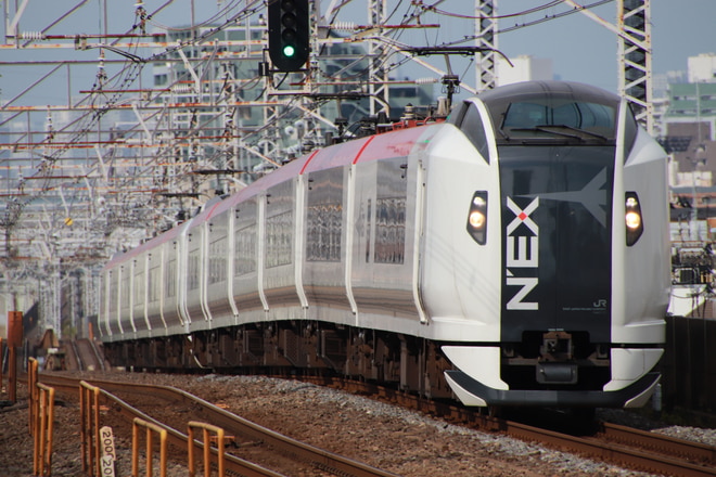 鎌倉車両センター本区E259系を小岩駅で撮影した写真
