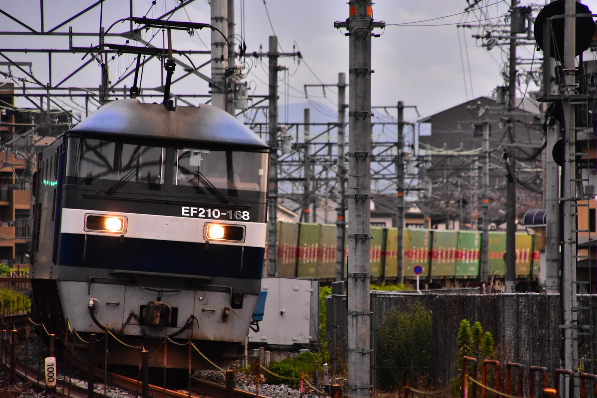 JR貨物 吹田機関区 EF210 168