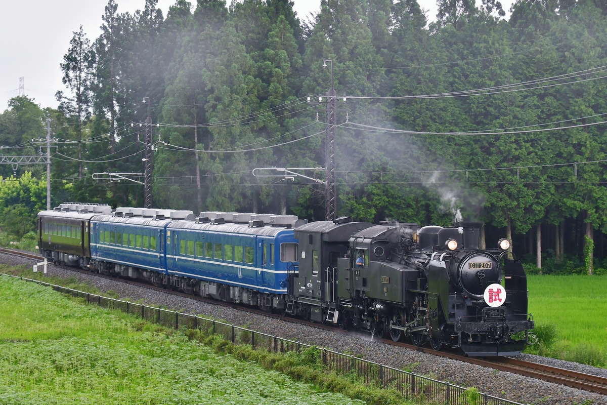 東武鉄道 下今市機関区 C11 207
