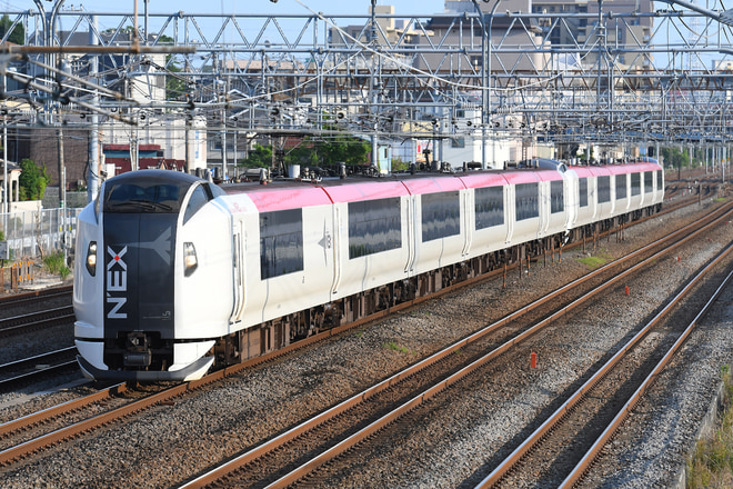 鎌倉車両センター本所E259系を大船～戸塚間で撮影した写真
