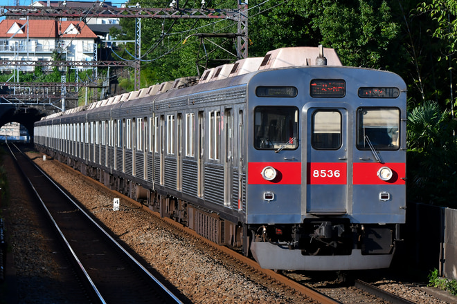 8500系8636fを田奈駅で撮影した写真