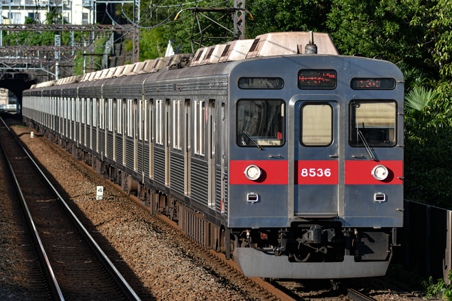 8500系8636Fを田奈駅で撮影した写真