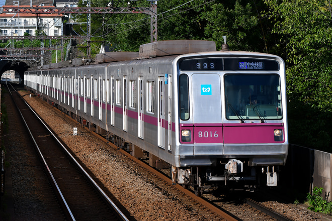 8000系8116fを田奈駅で撮影した写真