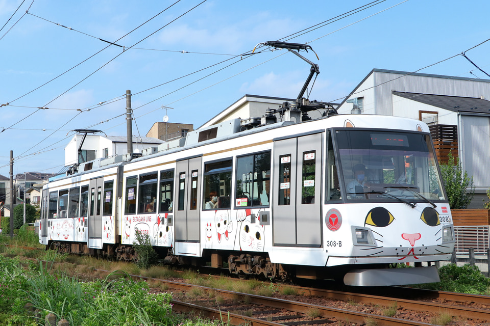 東急300系308F<br class="br-sp" />(308編成)の写真