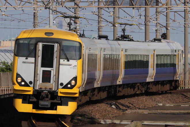 E257系マリNB-19編成を南船橋駅で撮影した写真