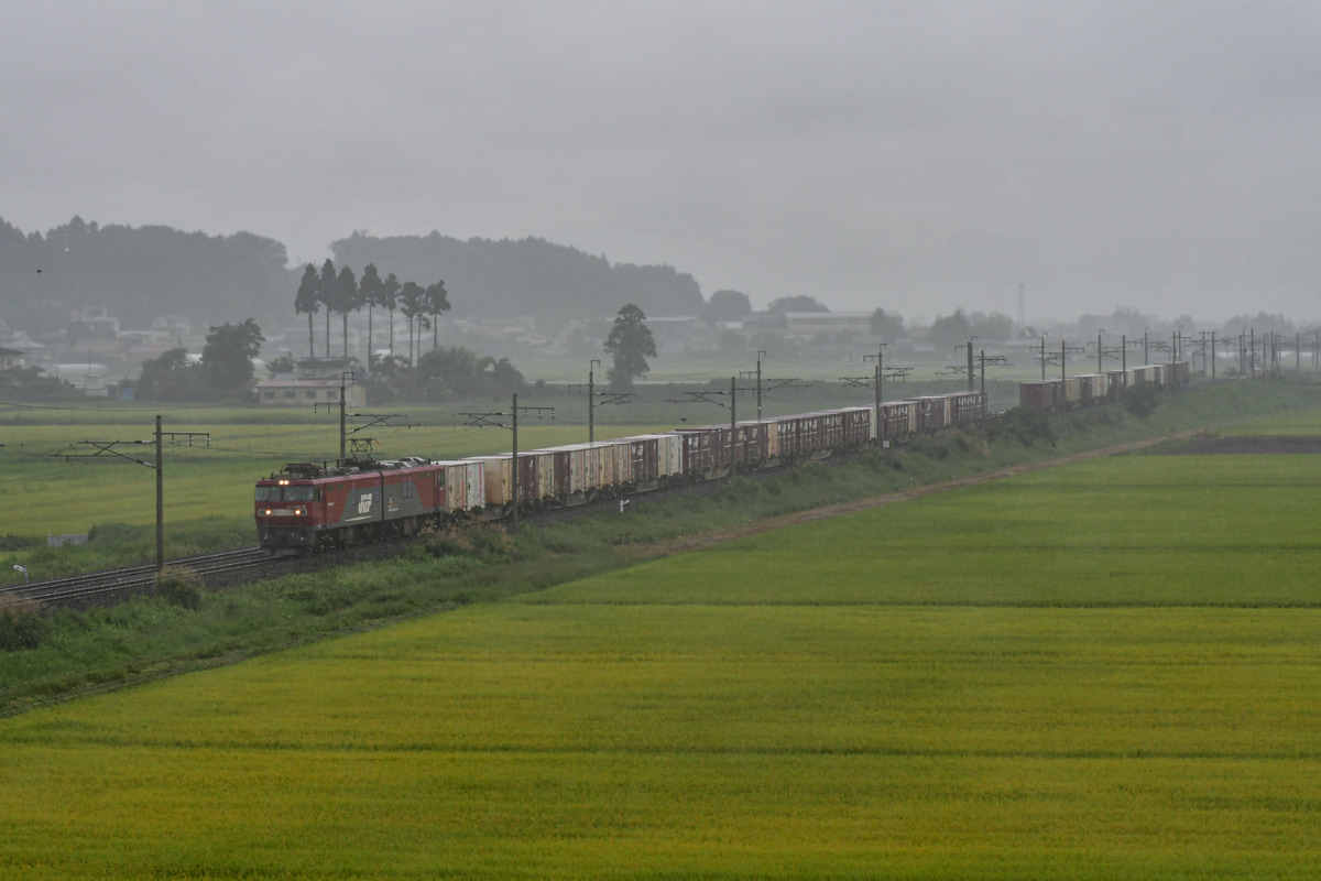 JR貨物 仙台港機関区 EH500 75