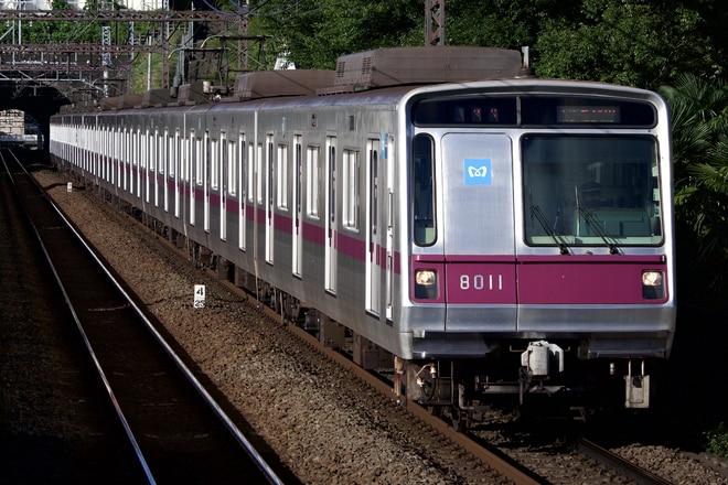鷺沼検車区8000系8111Fを田奈駅で撮影した写真